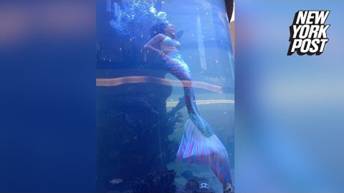 WATCH: Scary moment mermaid's tail gets caught on reef