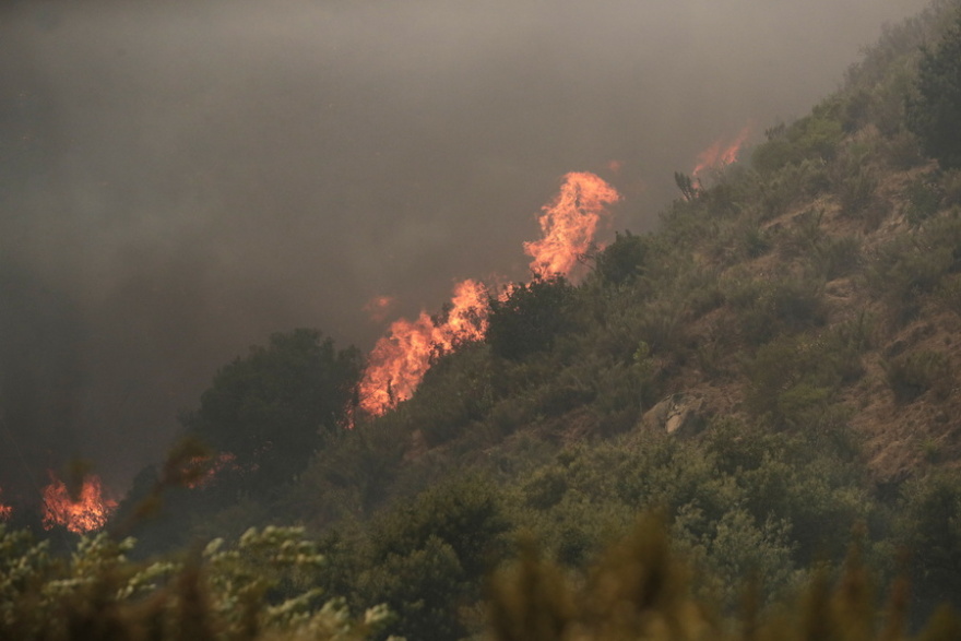 Violent forest fires spread to residential houses in Chile – Residents are being evacuated