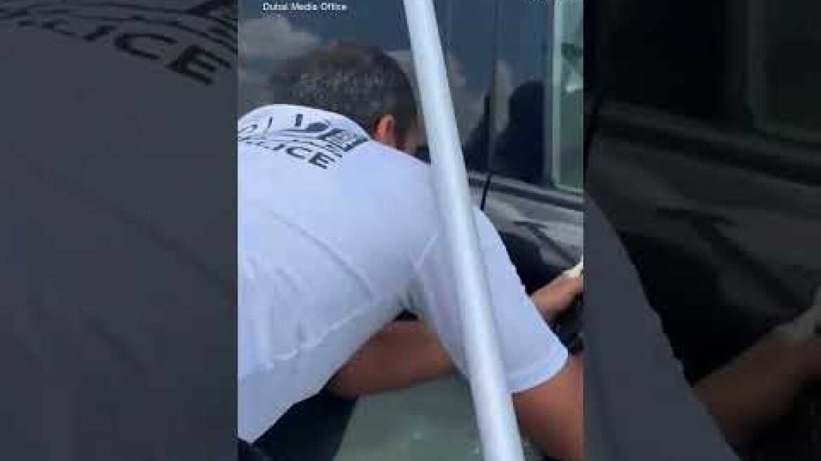 Cat rescued from Dubai floods after clinging to car door #cats #dubai #flood #weather #animalrescue